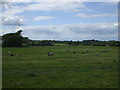 Looking towards Annington Farm, Botolphs, West Sussex