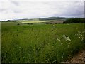 Panorama from Grimthorpe Hill