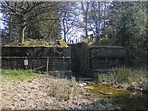 SH7958 : Dam structure at southern end of Llyn Parc by Phil Champion