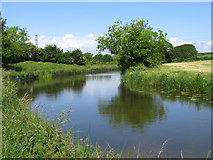 SD4764 : Lancaster Canal, near Beaumont by Ian Taylor