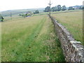 Footpath near Carr Green