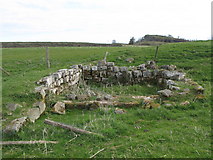NY6665 : Carvoran (Magna) Roman Fort - tower at northwest corner (2) by Mike Quinn
