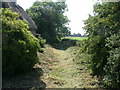 Winterborne Muston, River Winterborne