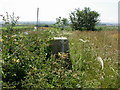 Waterston Ridge, trig point