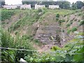 Disused Pond Quarry - Lightcliffe Road