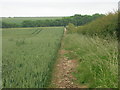 Field Boundary near Holmdale Farm