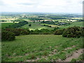 Woolland: slopes of Bulbarrow Hill