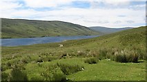 NH2895 : Loch an Daimh by Richard Webb