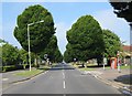 South Oxhey: Oxhey Drive