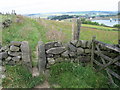 Footpath near Leeming Reservoir