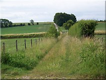 ST9937 : Bridleway near Bapton by Maigheach-gheal