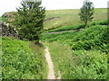 Footpath towards Sugden End