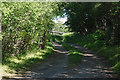 Lane to Lower Tullochgrue farm