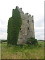 O2551 : Portrane Castle, Co. Dublin by Kieran Campbell