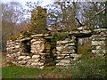 Ruined cottage - Gwern y Baedd