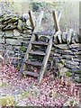 Ladder stiles on footpath towards Cefn Rhydd