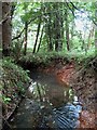 High Hurstwood Stream