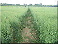 Footpath to A252 Canterbury Road