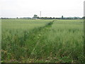 Footpath to Molash Church