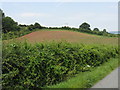 Hillside Near Lyde Cross