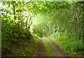 Farm track leading north-west from Kinrossie