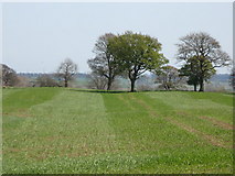 NZ0268 : (The line of) the Vallum east of Halton Shields by Mike Quinn