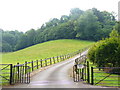 Country Life, Catteshall