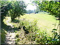 Bridleway near Catteshall Farmhouse