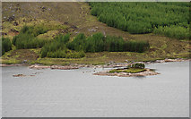 NH1806 : Shore of Loch Loyne by John Taylor