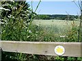 Footpath near Outwick