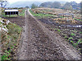 Mud on road