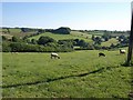 Field and valley, North Huish