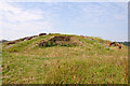 Viewpoint on Penarth Moors - Cardiff