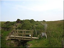 SH2990 : Coastal path footbridge over Gwter Fudr by Eric Jones
