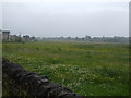 Meadow land off Tyersal Lane