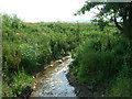 Small Beck near Sherburn