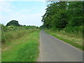 Minor Road Towards Wykeham