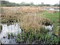 Looking  South West from the New Hide, Weston Turville Reservoir