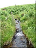 SX6982 : Small stream near Lettaford by Maigheach-gheal
