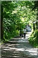 Footpath through School Green