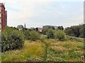 An Audenshaw Footpath