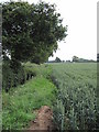 View of Footpath to Town Ditch