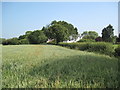 Town Ditch Farm Buildings and Footpath