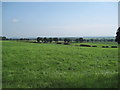 Farmland and view into Cheshire