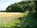 Bridleway near Leigh Delamere