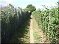 Footpath beside railway line