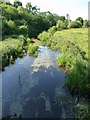 Upper Clatford - The River Anton