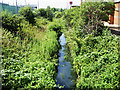 River Cole, Greenbridge, Swindon