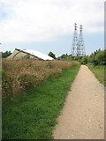 TG2507 : Electricity pylons west of Whitlingham Country Park by Evelyn Simak