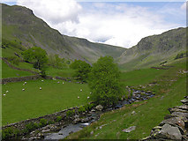 NY4805 : Long Sleddale above Sadgill by Nigel Brown